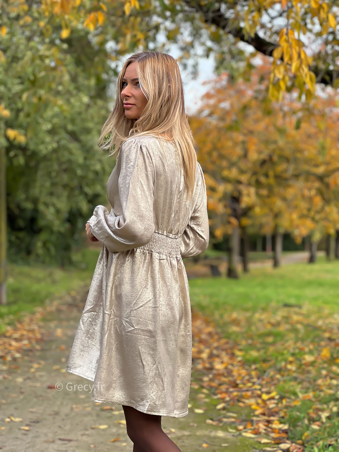 Robe deals doree zara
