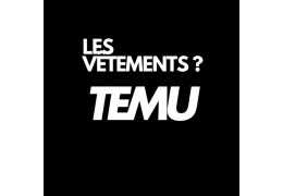 VETEMENTS SUR TEMU